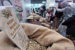 Mendorong kopi Bengkulu jadi primadona