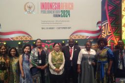 Parlemen Indonesia dan Afrika sepakat cegah penyebaran Mpox