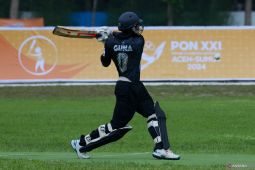 Semarak persatuan dan prestasi dalam PON 2024