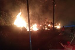 BPBD Belitung sebut potensi karhutla masih tinggi