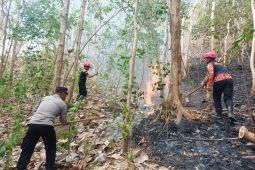 BPBD Trenggalek ingatkan warga waspada peningkatan intensitas karhutla