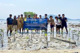 UI beri edukasi tentang NbS jaga kelestarian hutan bakau di Pahawang