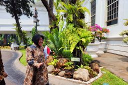 Menteri Sosial Tri Risma hadiri rapat terbatas bersama Presiden di tengah isu mundur