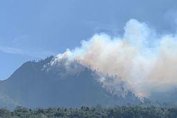 BPBD Lumajang bantu padamkan karhutla di kawasan TNBTS