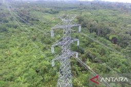 PLN hutankan kembali kawasan sekitar jalur SUTT