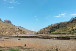 Pemkab Ponorogo pantau dampak penurunan debit Waduk Bendo
