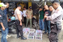 BKSDA Maluku amankan puluhan satwa liar dilindungi di atas KM Nggapulu di Pelabuhan Dobo