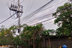 PLN jamin kelistrikan Bali aman pascagempa magnitudo 4,9