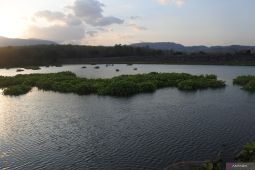 Volume air Bendungan Sampean Baru menurun saat kemarau