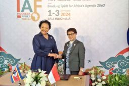 Indonesia, Eswatini have signed visa-free agreement: embassy