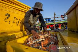 Kontrobusi sektor kelautan terhadap PDB