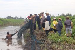 Pj Bupati HSS ikuti tradisi "Marimpa Iwak" bersama warga
