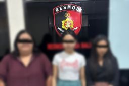 Polda Bali gerebek Spa di Kerobokan diduga bisnis prostitusi