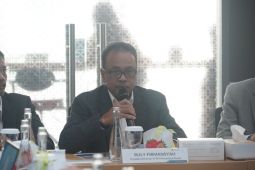 PLN dan perusahaan Jerman jajaki kerja sama infrastruktur EBT di RI