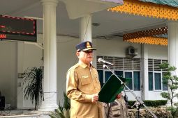 Langkat terima Dana Desa Rp 230 miliar dari pusat, ini peruntukannya