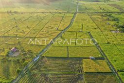 Kementan perluas lahan pertanian di Kalimantan Timur