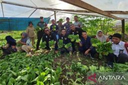 Dinas Pertanian  Maluku-komunitas pemuda bentuk kelompok tani di desa