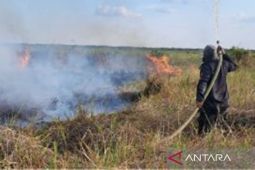7 desa di Hulu Sungai Selatan terdampak karhutla