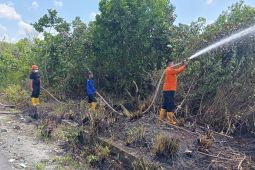 BPBD Penajam  minta warga tidak buka lahan dengan membakar saat kemarau