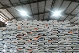 Kebutuhan beras di Belitung capai 20.051 ton per tahun