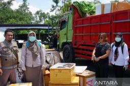 Karantina Kaltim musnahkan 578 kg daging babi ilegal
