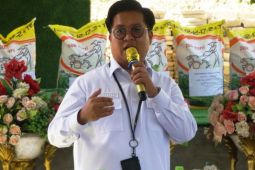 Wabup Kukar: Bantuan sarana produksi tingkatkan hasil tani