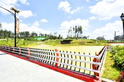 Greening, animal releases help preserve IKN ecosystem: minister
