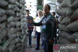 Babel pastikan stok beras cukup selama Maulid Nabi