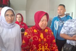 PDIP optimistis Risma-Gus Hans raup 45 persen suara di Malang