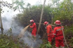 Lahan terbakar di wilayah Sumsel mencapai 2.948 hektare sepanjang 2024