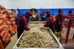 Basreng Sultan tembus ekspor ke pasar Asia