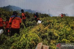 BPBD Koltim mitigasi Karhutla di musim kemarau