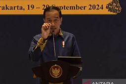 Presiden Jokowi tekankan pentingnya pembukaan lapangan kerja baru