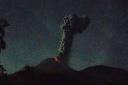 Gunung Lewotobi Laki-laki erupsi setinggi 1.200 meter
