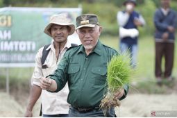 Petani sejahtera, Sawah pokok murah ala Djoni