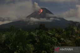 Gempa tektonik di Bandung tidak pengaruhi luncuran awan panas Gunung Merapi