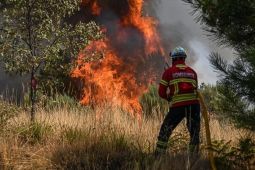 Kebakaran hutan di Spanyol dan Portugal akibatkan korban tewas enam orang