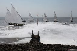 Busa putih di pantai dekat jembatan Suramadu