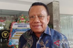 Kementan bantu 2.800 alat pertanian dukung swasembada pangan di Merauke