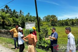 Pj Bupati Abdya hidupkan kembali varietas padi sigupai