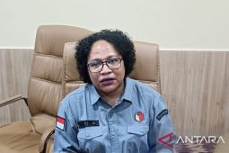 Bawaslu deklarasi pengawasan pilkada damai Papua