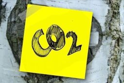 Ilmuwan China kembangkan teknologi ubah CO2 jadi antioksidan Likopen