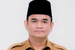 Optimalisasi peningkatan pendapatan PBB-P2 melalui E-Validasi