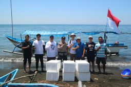 APRI lepaskan ribuan benih rajungan di perairan Indonesia