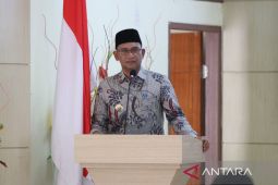 Indeks Pembangunan Statistik Aceh Selatan naik jadi 2,85