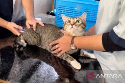 Ratusan hewan peliharaan di Kota Bogor divaksin anti rabies gratis