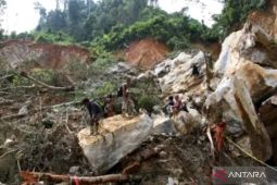 Tanah longsor di Solok Sumbar disebut areal tambang ilegal