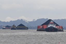 Harga batubara acuan Juli naik 8,74 dolar AS per ton