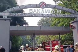 Gulkarmat DKI nyatakan tak ada korban pada kebakaran gedung Bakamla