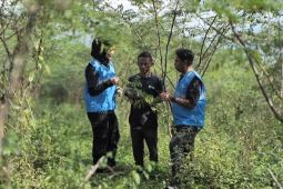 Biomassa PLN di Tasikmalaya: dikelola masyarakat, didukung pemerintah